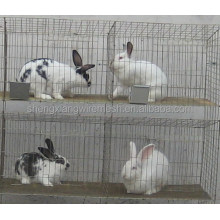 Agriculture Rabbit Cage With Low Price(H type ,alibaba supplier,Made in China)